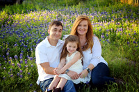Tucker Bluebonnet