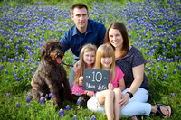 Richardson Bluebonnets