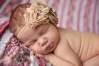 Serenity Newborn